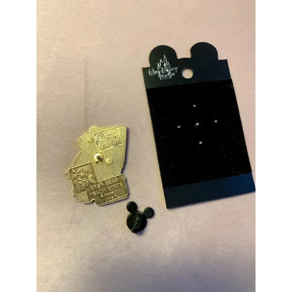 Vintage Rare Splash Mountain Brer Bear Georgia State Disney Trading Pin